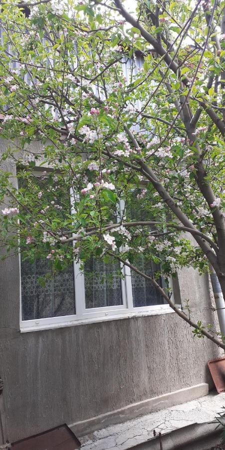 Guest House Otilia Ґюмрі Екстер'єр фото